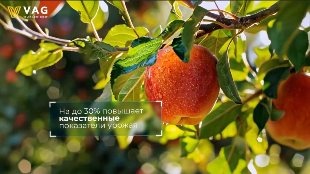 Ai ролик на заказ для бизнеса